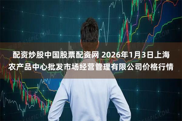 配资炒股中国股票配资网 2026年1月3日上海农产品中心批发市场经营管理有限公司价格行情