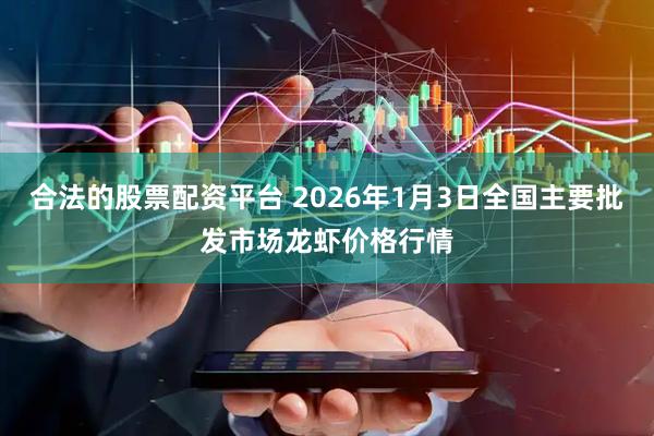 合法的股票配资平台 2026年1月3日全国主要批发市场龙虾价格行情